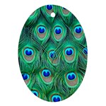 Peacock Feather 1 Ornament (Oval)