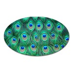 Peacock Feather 1 Magnet (Oval)