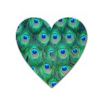 Peacock Feather 1 Magnet (Heart)