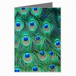 Peacock Feather 1 Greeting Card