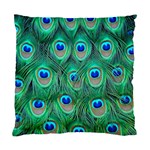 Peacock Feather 1 Cushion Case (Two Sides)
