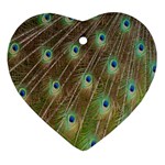 Peacock Feathers 2 Ornament (Heart)