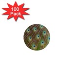 Peacock Feathers 2 1  Mini Magnet (100 pack) 