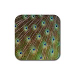 Peacock Feathers 2 Rubber Coaster (Square)