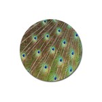 Peacock Feathers 2 Magnet 3  (Round)