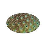 Peacock Feathers 2 Sticker Oval (10 pack)