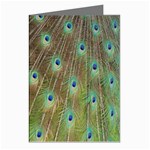 Peacock Feathers 2 Greeting Cards (Pkg of 8)