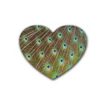 Peacock Feathers 2 Heart Coaster (4 pack)