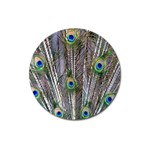 Peacock Feathers 3 Magnet 3  (Round)