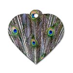 Peacock Feathers 3 Dog Tag Heart (Two Sides)