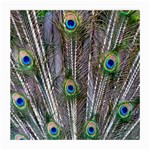 Peacock Feathers 3 Glasses Cloth (Medium, Two Sides)