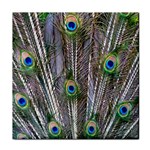 Peacock Feathers 3 Face Towel
