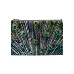 Peacock Feathers 3 Cosmetic Bag (Medium)