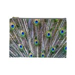Peacock Feathers 3 Cosmetic Bag (Large)