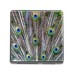 Peacock Feathers 3 Memory Card Reader with Storage (Square)