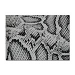 Snake Skin 1 Sticker A4 (10 pack)