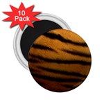 Tiger Skin 2 2.25  Magnet (10 pack)