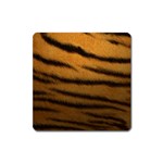 Tiger Skin 2 Magnet (Square)