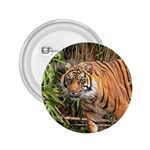 Tiger 1 2.25  Button