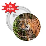 Tiger 1 2.25  Button (10 pack)
