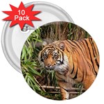 Tiger 1 3  Button (10 pack)
