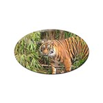 Tiger 1 Sticker (Oval)