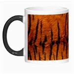 Tiger Morph Mug