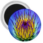 Water Lily 3  Magnet