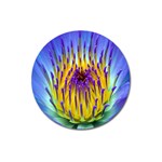 Water Lily Magnet 3  (Round)