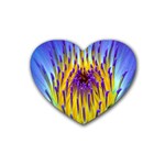 Water Lily Heart Coaster (4 pack)