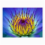 Water Lily Glasses Cloth (Large)