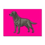 BP Black Labrador Retriever Dog Gifts Sticker A4 (10 pack)