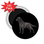 BB Black Labrador Retriever Dog Gifts 2.25  Magnet (100 pack) 