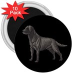 BB Black Labrador Retriever Dog Gifts 3  Magnet (10 pack)