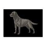 BB Black Labrador Retriever Dog Gifts Sticker A4 (10 pack)