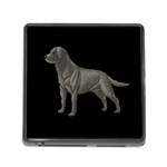 BB Black Labrador Retriever Dog Gifts Memory Card Reader with Storage (Square)