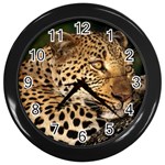 Male Leopard Wall Clock (Black)