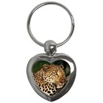 Male Leopard Key Chain (Heart)