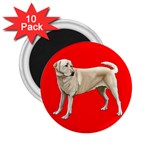 BR Yellow Labrador Retriever Dog Gifts 2.25  Magnet (10 pack)