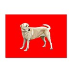 BR Yellow Labrador Retriever Dog Gifts Sticker A4 (100 pack)