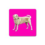BP Yellow Labrador Retriever Dog Gifts Magnet (Square)
