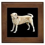 BB Yellow Labrador Retriever Dog Gifts Framed Tile
