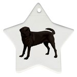 BW Black Labrador Retriever Dog Gifts Ornament (Star)