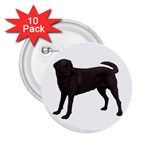 BW Black Labrador Retriever Dog Gifts 2.25  Button (10 pack)