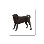 BW Black Labrador Retriever Dog Gifts Magnet (Square)