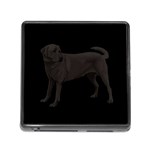 BB Black Labrador Retriever Dog Gifts Memory Card Reader with Storage (Square)