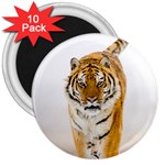 Tiger 3  Magnet (10 pack)