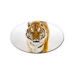Tiger Sticker Oval (10 pack)