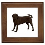 BW Chocolate Labrador Retriever Dog Gifts Framed Tile