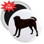 BW Chocolate Labrador Retriever Dog Gifts 3  Magnet (10 pack)